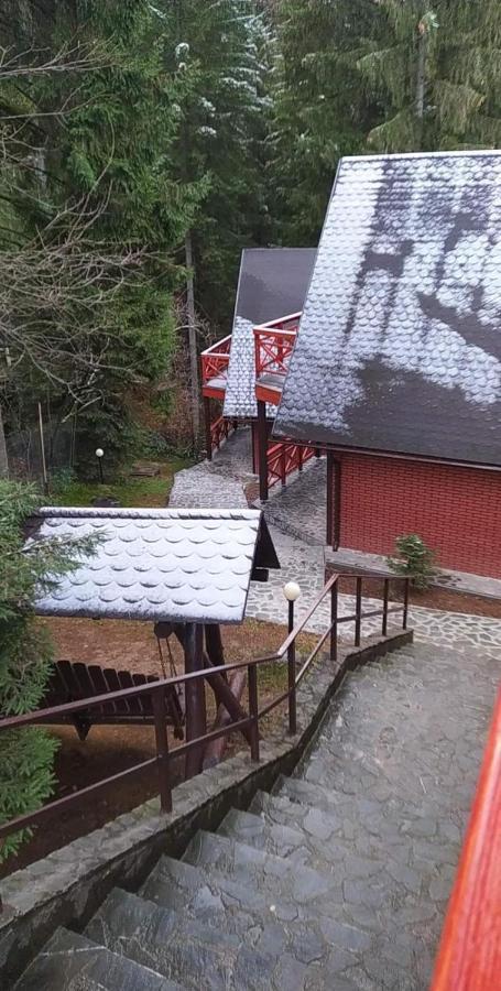 브라쇼브 Casa Familiei 빌라 외부 사진